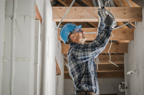 Best Ceiling Fan Installation Electrician  in Iowa Colony, TX