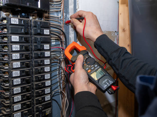 Best Licensed Electrician  in Iowa Colony, TX